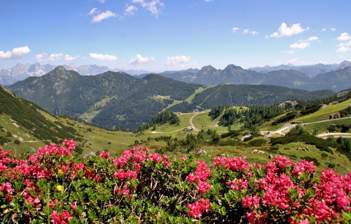 Vorderwiesgut Altenmarkt im Pongau Εξωτερικό φωτογραφία