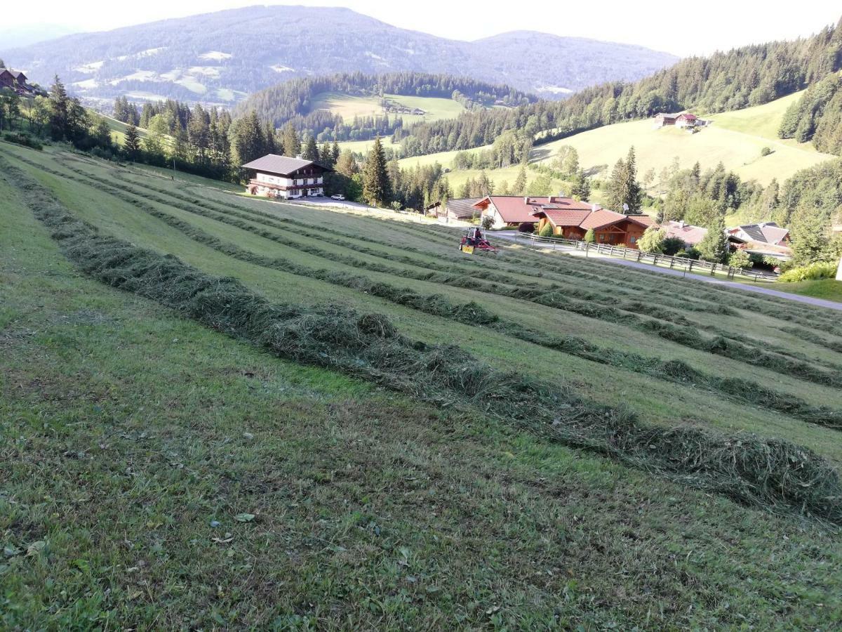 Vorderwiesgut Altenmarkt im Pongau Εξωτερικό φωτογραφία