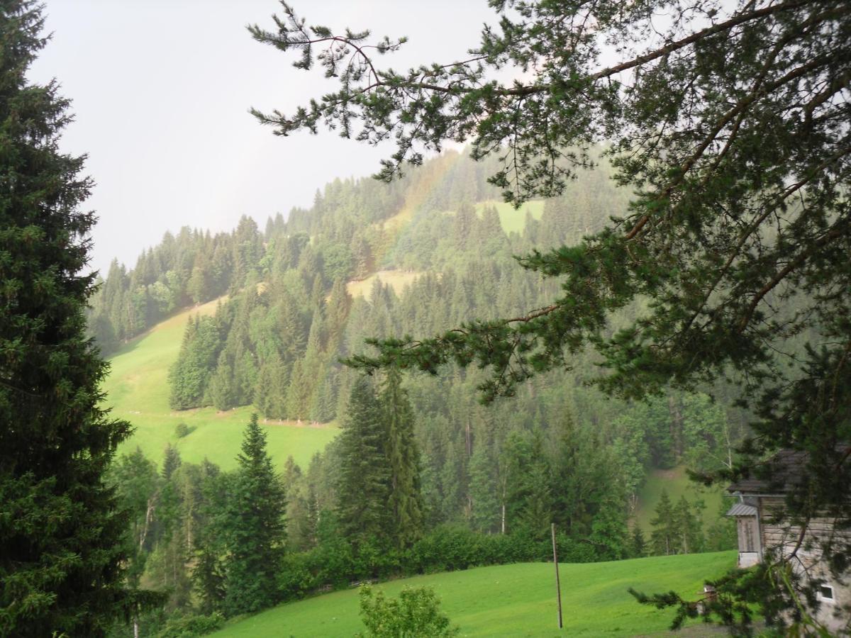 Vorderwiesgut Altenmarkt im Pongau Εξωτερικό φωτογραφία